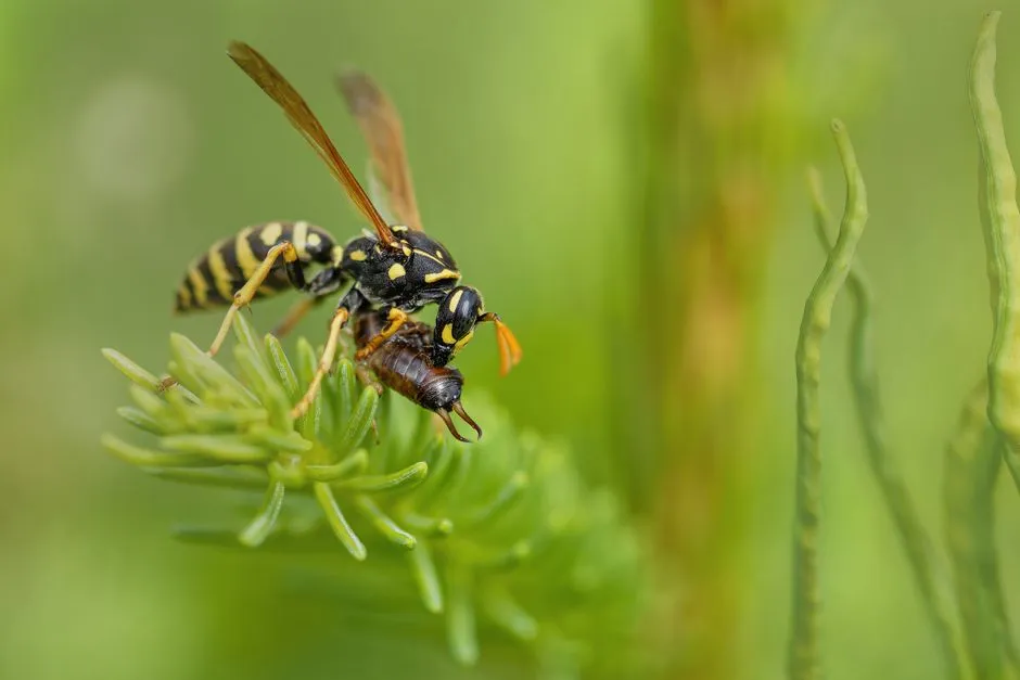 Why Insecticides Make Things Worse (Image Credits: Pexels)
