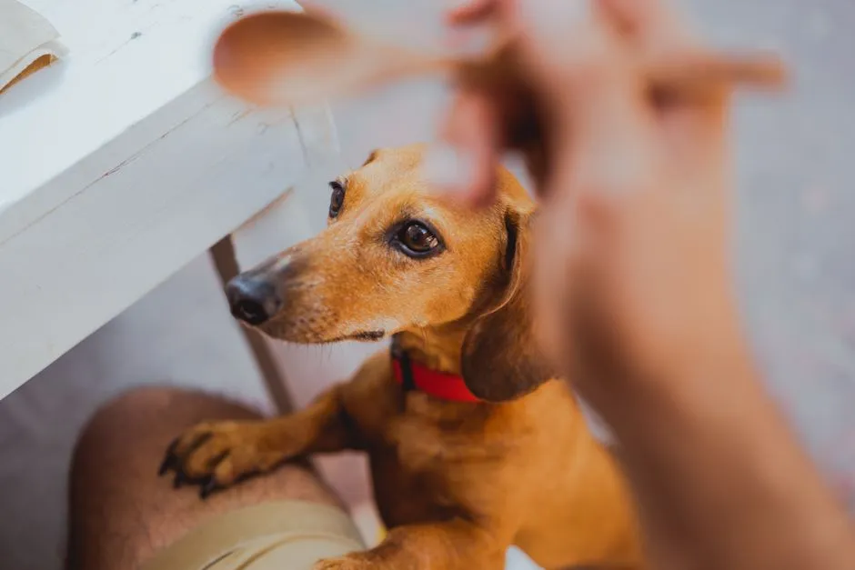 A Quiet Problem Worth Taking Seriously (Image Credits: Pexels)