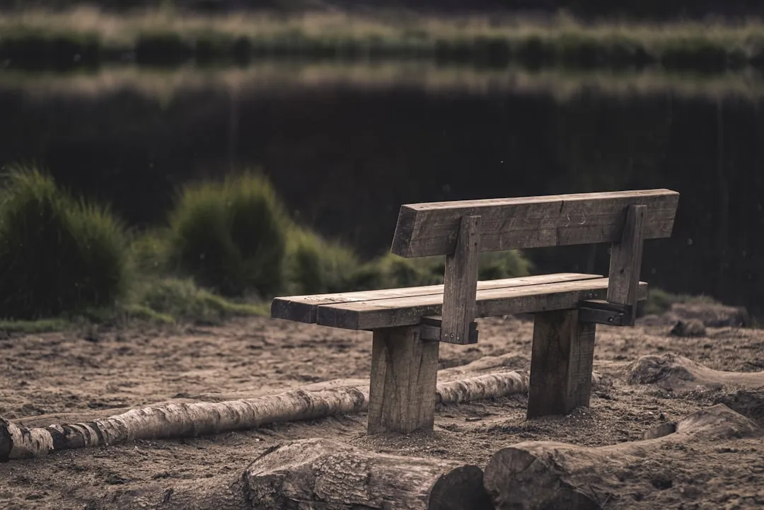 Why So Many Americans Stopped Going Outside (Image Credits: Unsplash)