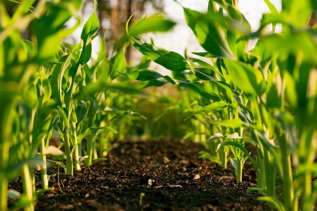 The Biodiversity Connection That Adds Cultural Weight (Image Credits: Unsplash)