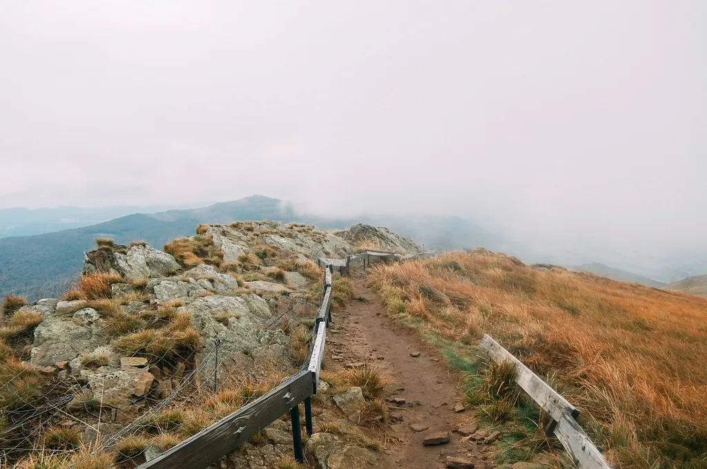 Economic Ripples: What Trails Do for Local Communities (Image Credits: Rawpixel)