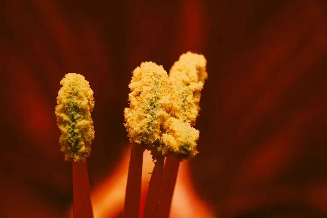 Pollen on the Stigma Pulls the Trigger (Image Credits: Unsplash)