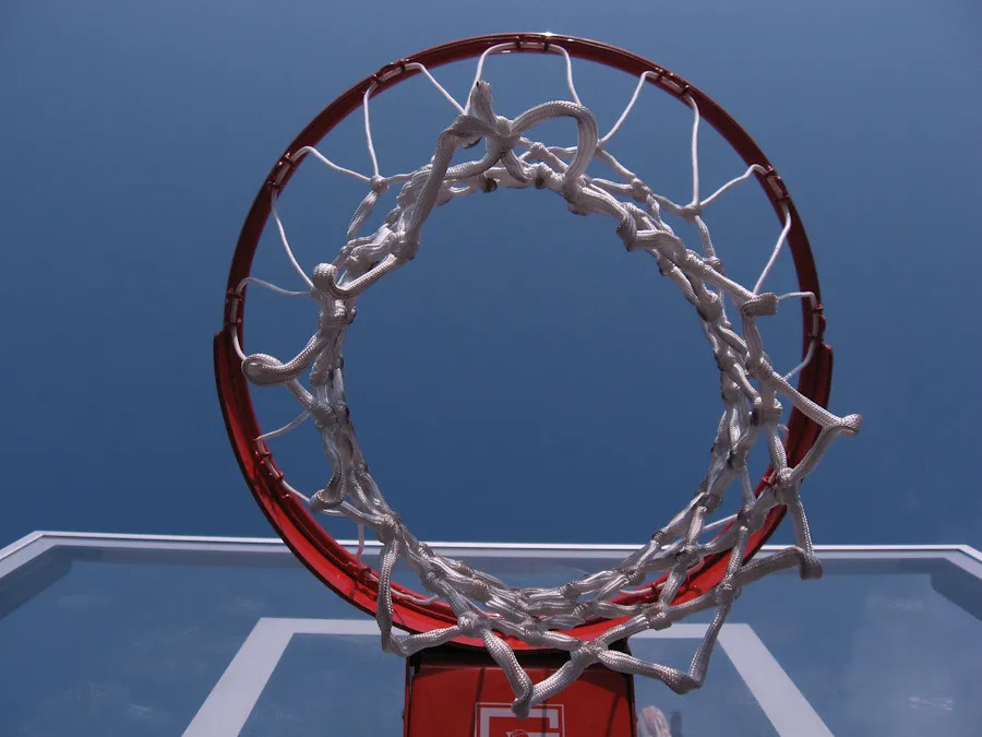 When States Push Back: Legislation to Protect Hoops (Steve A Johnson, Flickr, CC BY 2.0)