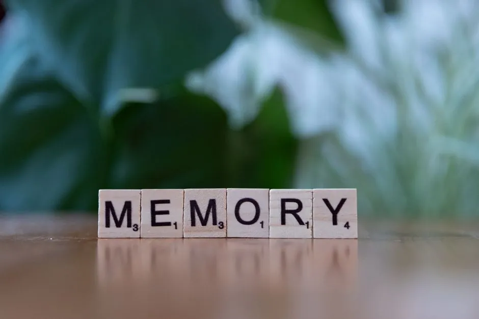 The Numbers That Made Researchers Take Notice (Image Credits: Pexels)