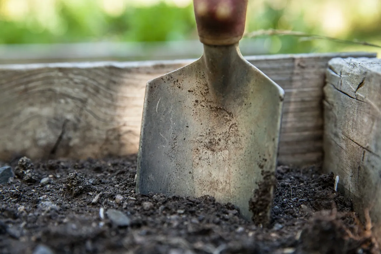 I Let the Soil Stay Covered Year-Round (Image Credits: Pixabay)