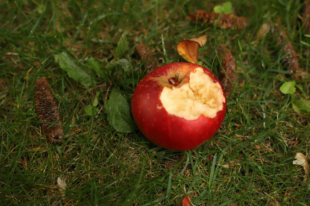 Long-Term Prevention and Plant Selection (Image Credits: Unsplash)