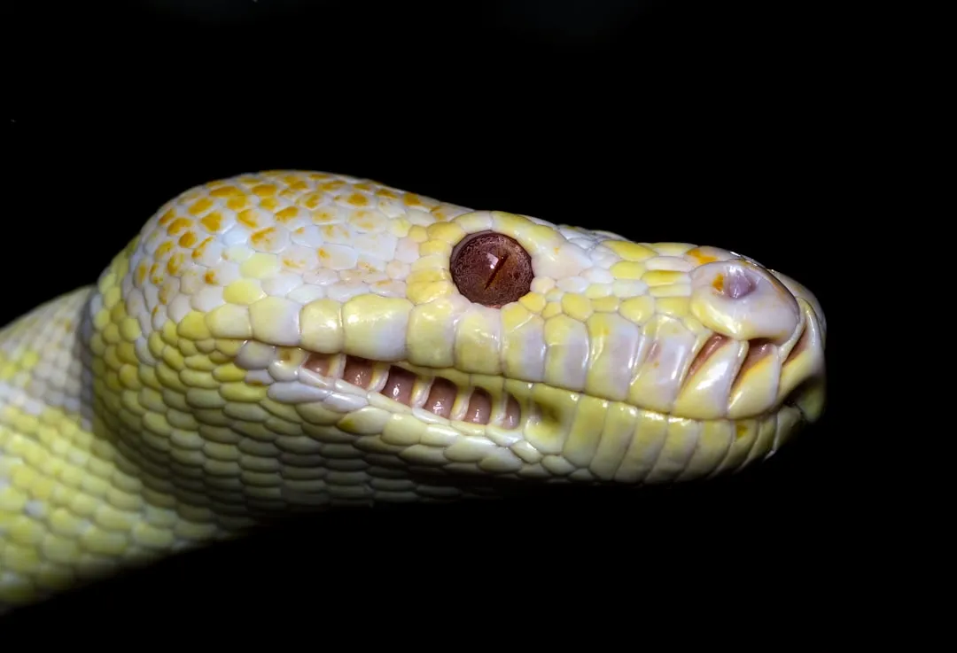Machine Learning Meets Animal Behavior (Image Credits: Unsplash)
