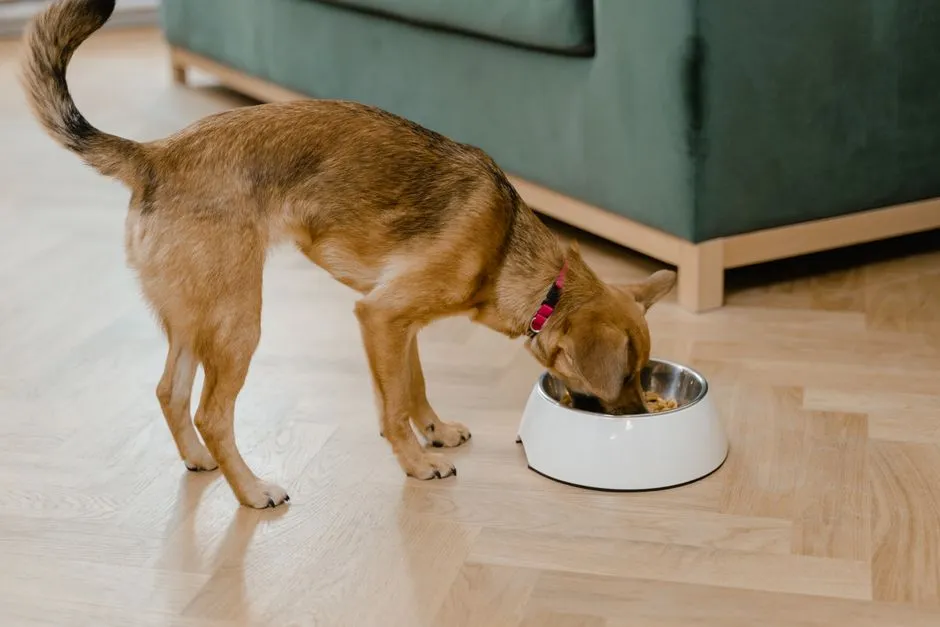 How Common Is This Behavior? (Image Credits: Pexels)