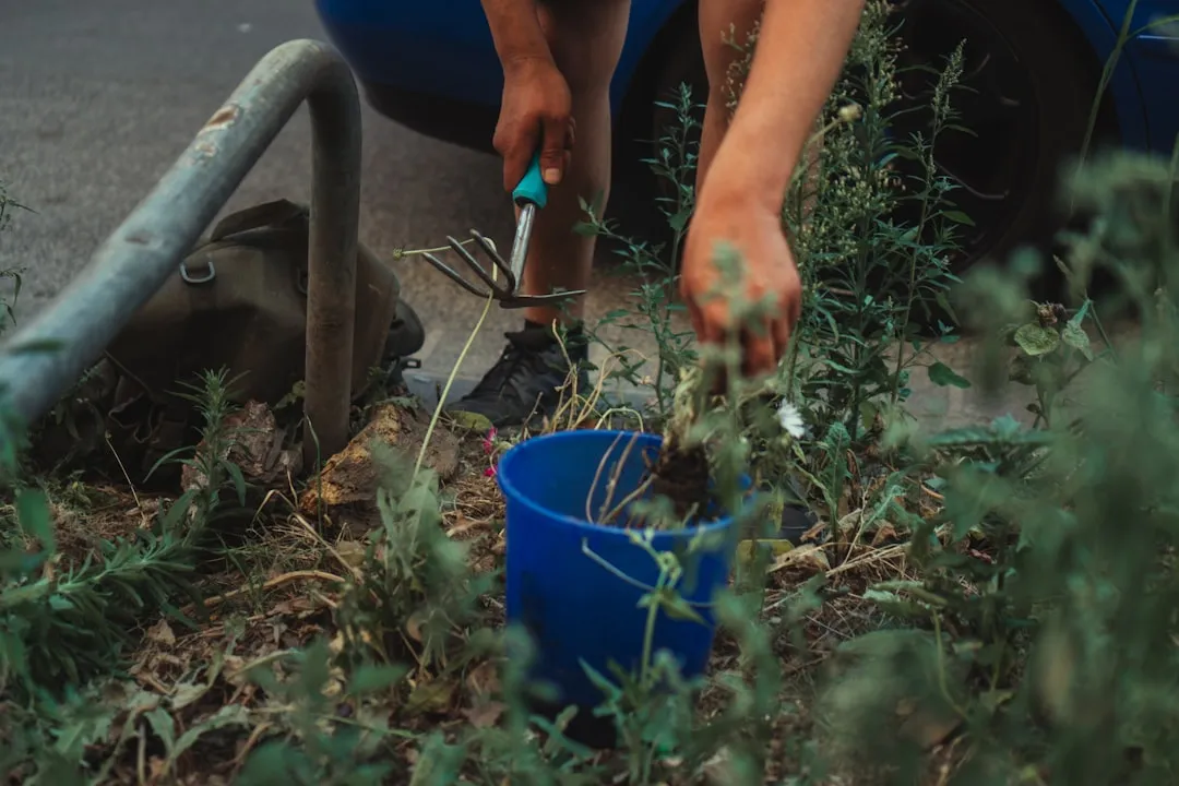 6. Pull Weeds Before They Set Seed (Image Credits: Unsplash)