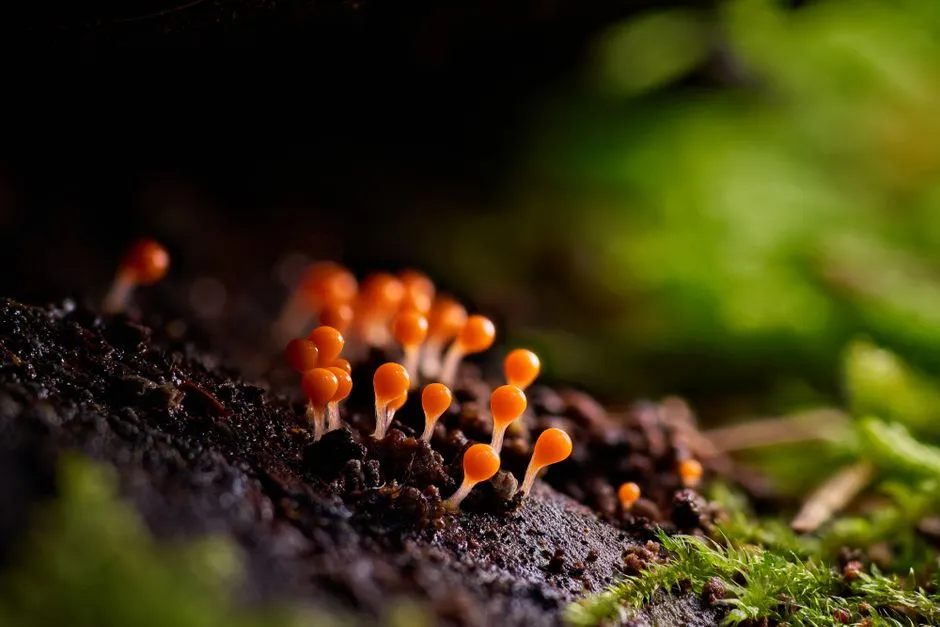 The Quiet Significance Beneath the Surface (Image Credits: Pexels)