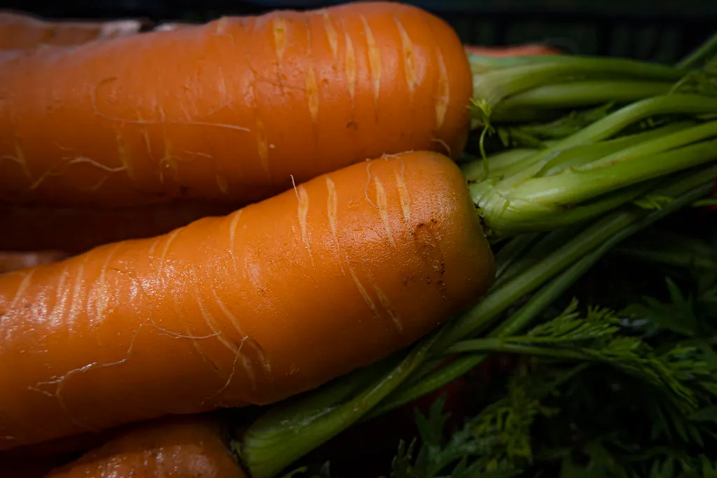 Rule 10: Mulch, Harvest Carefully, and Improve Soil Year After Year (Image Credits: Flickr)