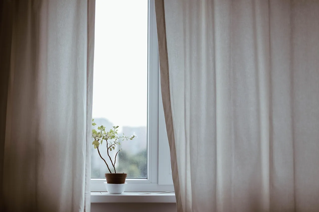 The Deeper Truth About Plant Preferences (Image Credits: Pixabay)