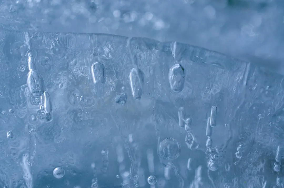 Cold Stratification Requirements Vary Widely Across Species (Image Credits: Unsplash)