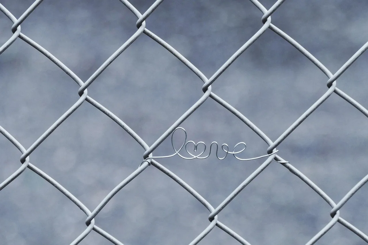 Sign 5: Scratch Marks, Torn Materials, or Chewed Edges Around Entry Points (Image Credits: Pixabay)