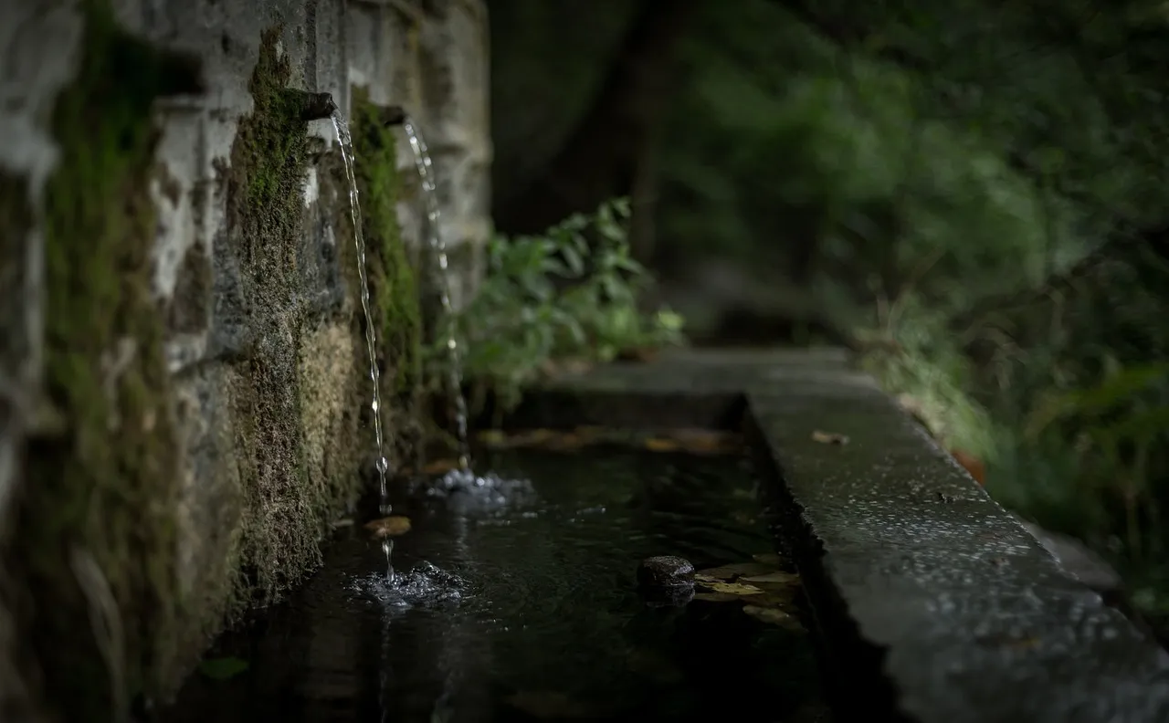 Drainage: The Step You Cannot Skip (Image Credits: Pixabay)