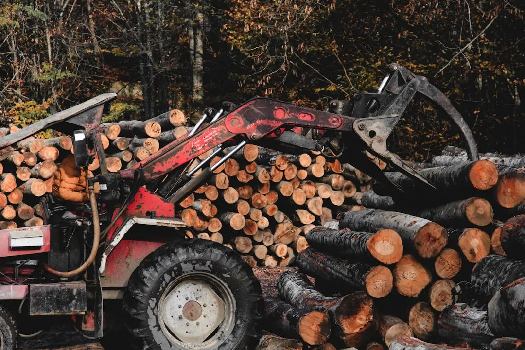 What an Arborist Chip Delivery Actually Looks Like (Image Credits: Unsplash)