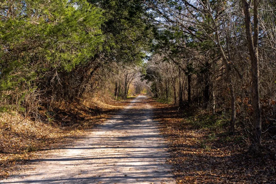 Indigenous Footsteps: Thousands of Years Before White Blazes (Image Credits: Pexels)