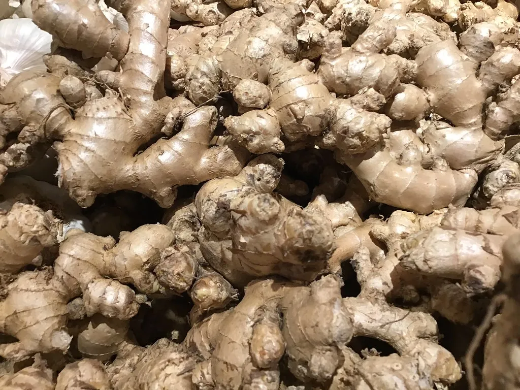 1. Ginger: The Fast-Acting Root (JeepersMedia, Flickr, CC BY 2.0)