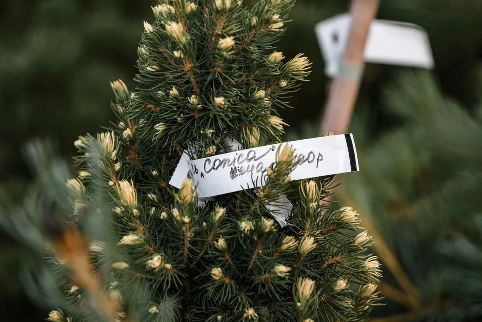 What Makes a Nursery Tag Worth Keeping (Image Credits: Pexels)