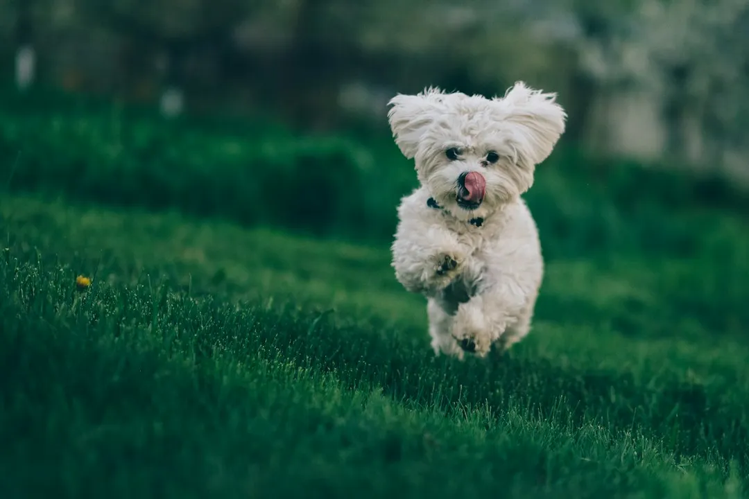 It's More Common Than You Might Think (Image Credits: Unsplash)