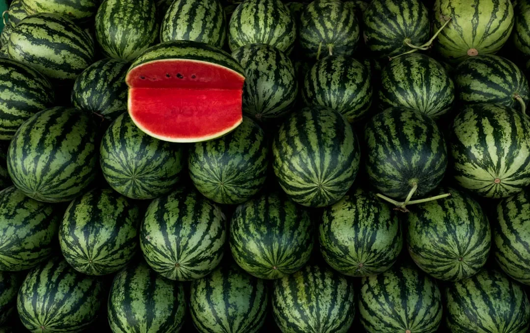 8. Remember That Watermelons Never Ripen After Picking (Image Credits: Unsplash)