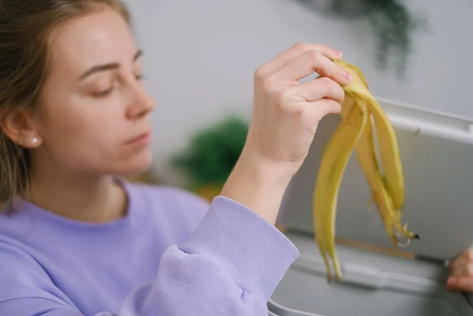 Timing and Decomposition: Getting the Most Out of Peels (Image Credits: Pexels)