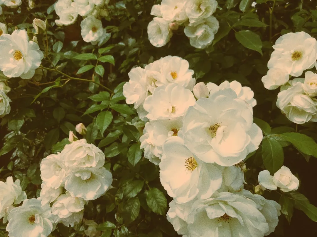 The Preservationists Keeping History Alive (Image Credits: Unsplash)