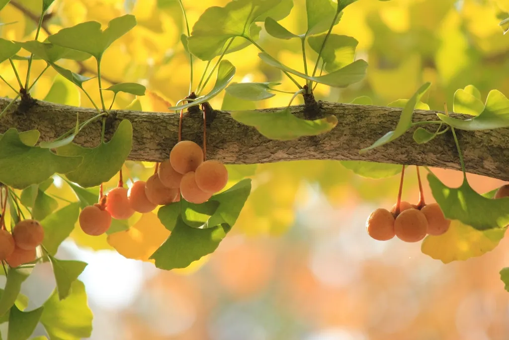 Can You Actually Grow These in a Home Garden? (Image Credits: Rawpixel)