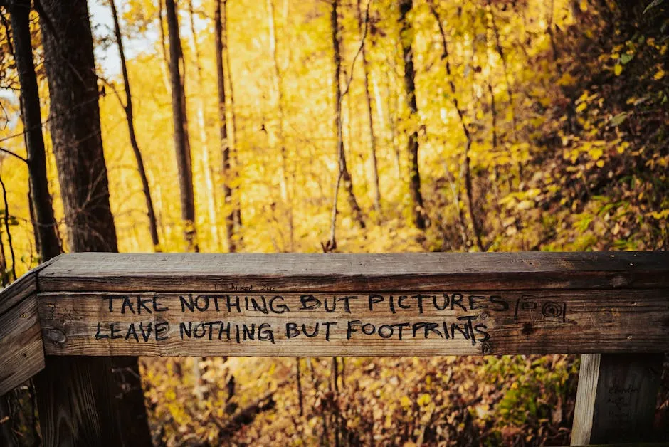 Leave What You Find: Protecting the Integrity of Wild Spaces (Image Credits: Pexels)