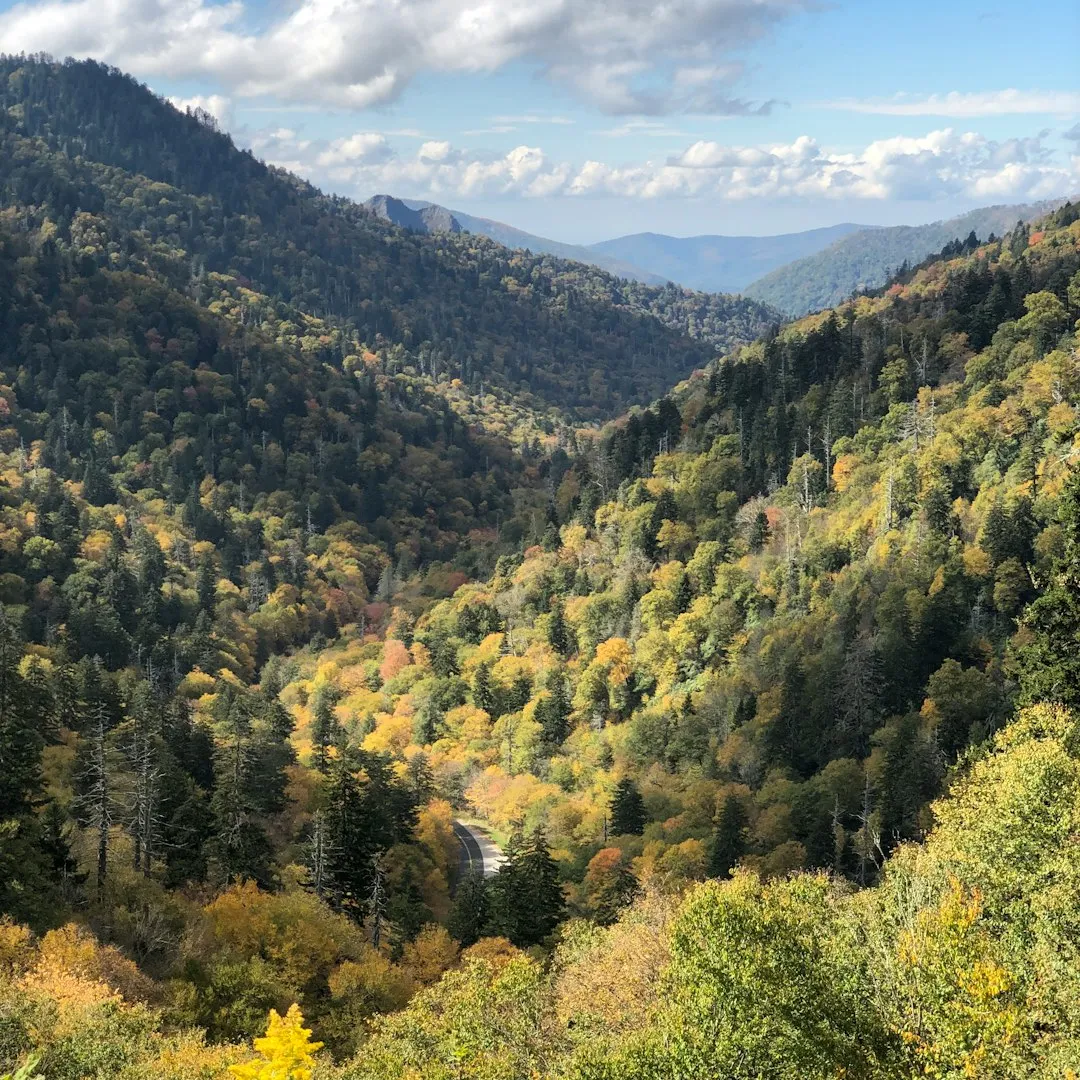 Great Smoky Mountains, Tennessee and North Carolina (Image Credits: Unsplash)