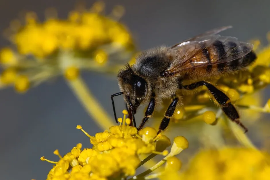 Sublethal Effects Are Just as Serious as Lethal Ones (Image Credits: Pexels)