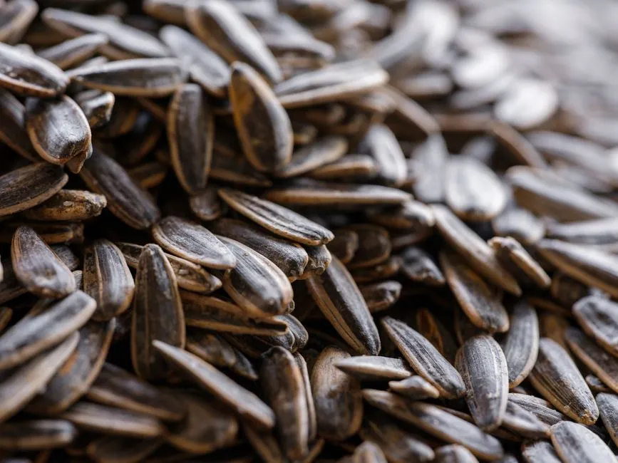 The Role of Magnesium-Rich Foods (Image Credits: Pexels)