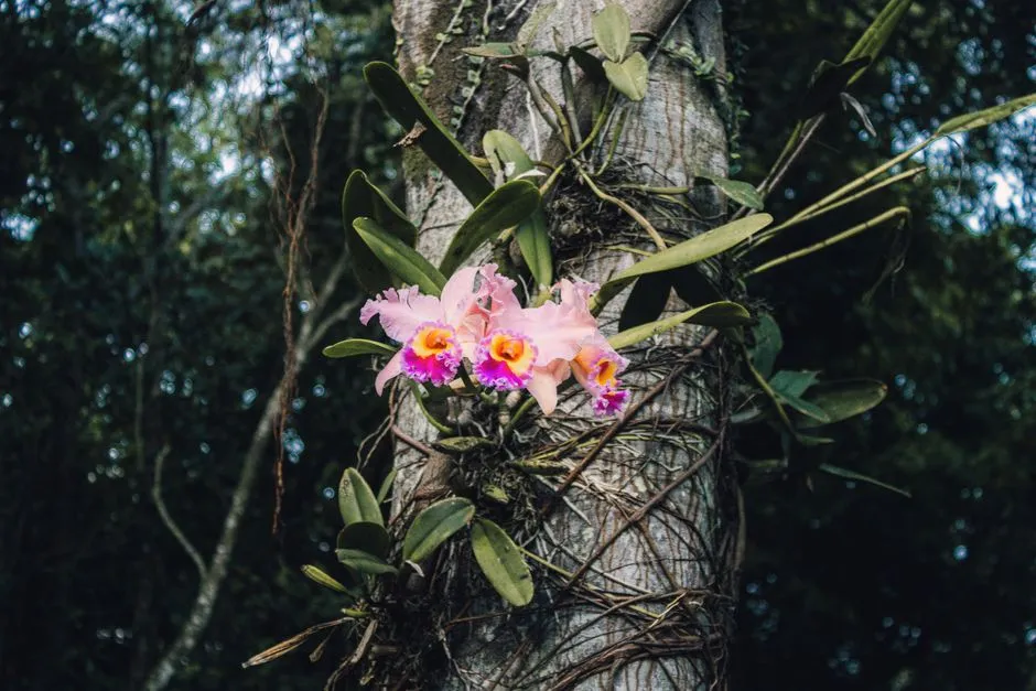 What Bark Actually Contributes (Image Credits: Pexels)