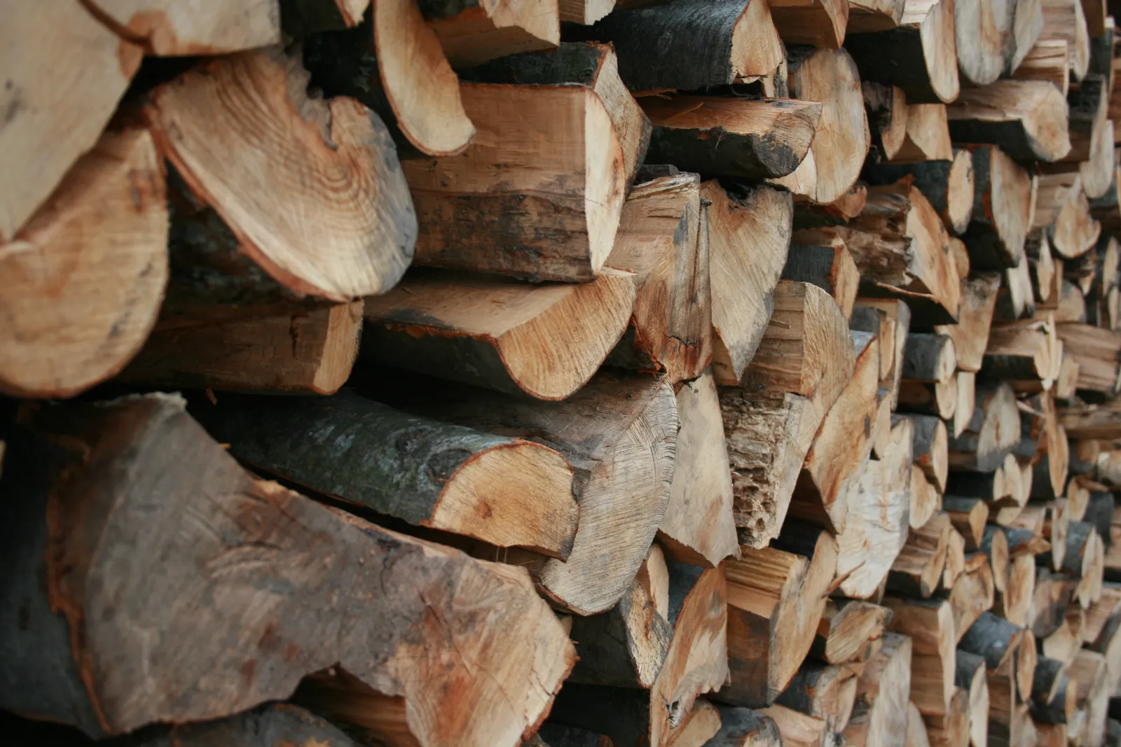Never Treat Firewood With Pesticides (By Feci1024, CC BY 3.0)