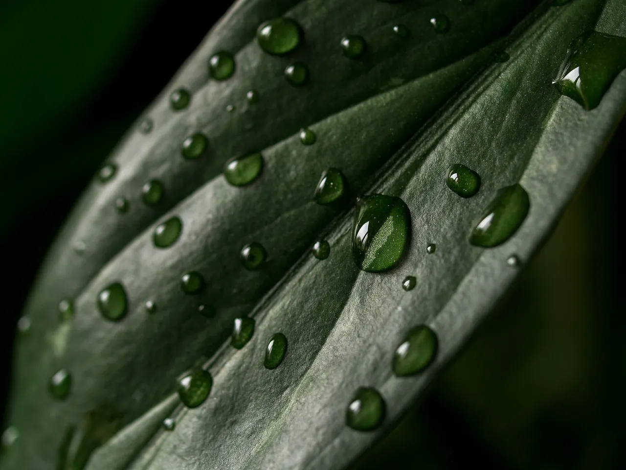 Calcium Waves: The Body's Internal Alarm System (Image Credits: Pixabay)