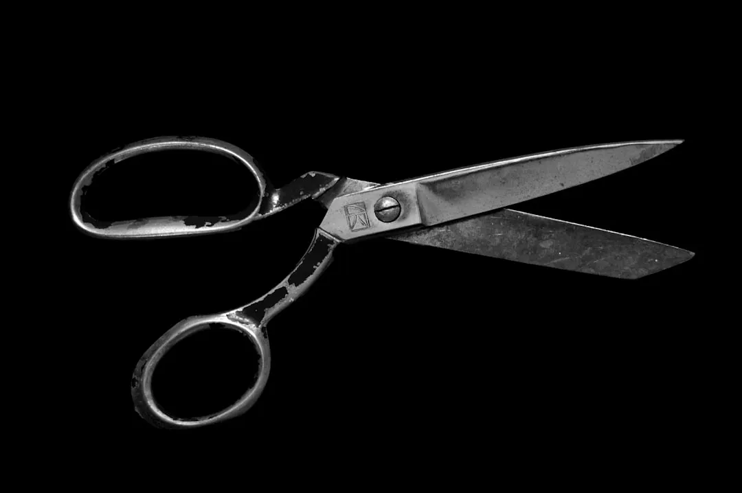 A Few Practical Tips Before You Start (Image Credits: Unsplash)