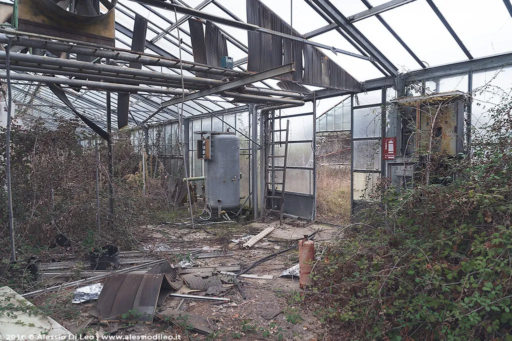 What Forgotten Greenhouses Often Look Like Inside (Alessio Di Leo, Flickr, CC BY 2.0)