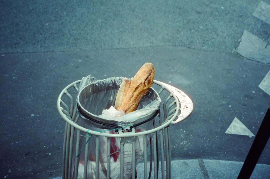 9. Handle Leftover Food Responsibly (Image Credits: Unsplash)