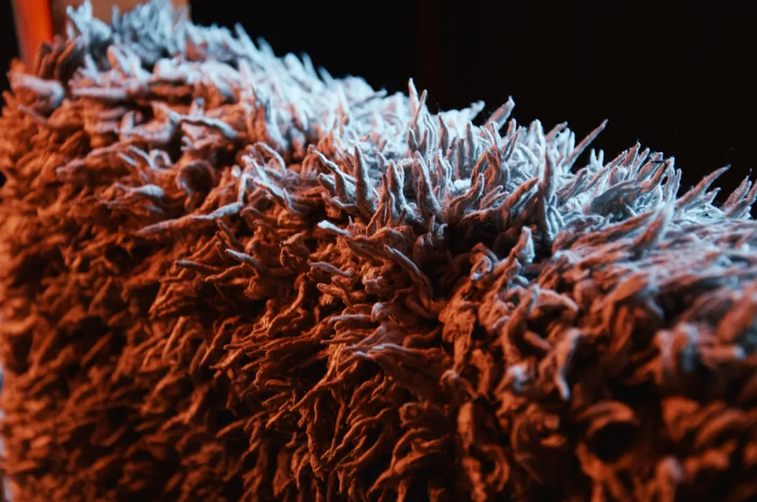 Shag Rugs Return, But in Smaller Doses (Image Credits: Unsplash)