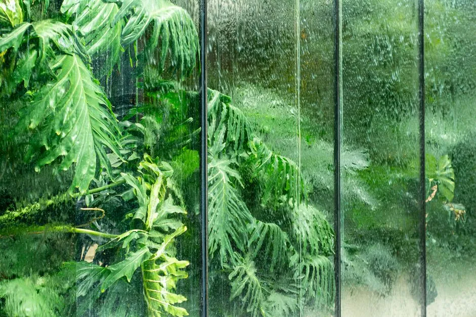 Group by Humidity Need, Not Just by Looks (Image Credits: Pexels)