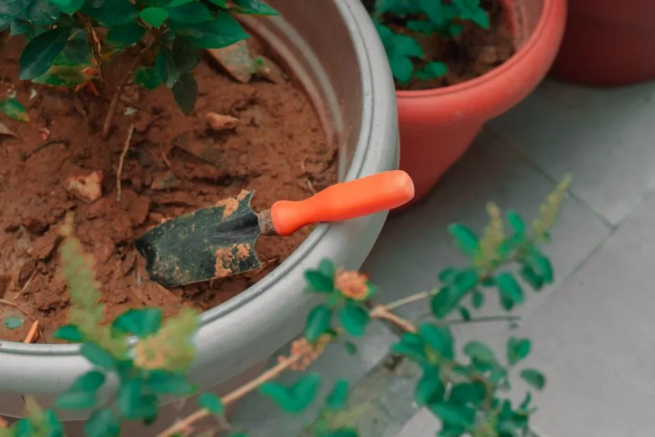 No Drainage Holes at All: The Most Common and Lethal Error (Image Credits: Pexels)