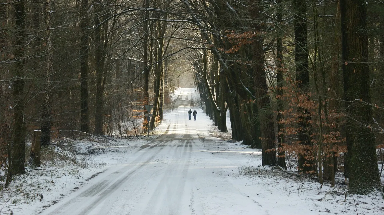 Grandma Gatewood: The 67-Year-Old Who Changed Everything (Image Credits: Pixabay)