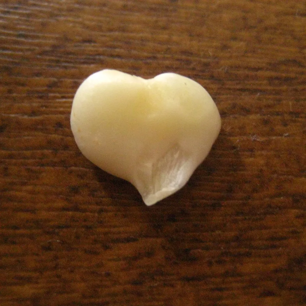 1. Garlic: Small Clove, Serious Science (Marieasy, Flickr, CC BY 2.0)