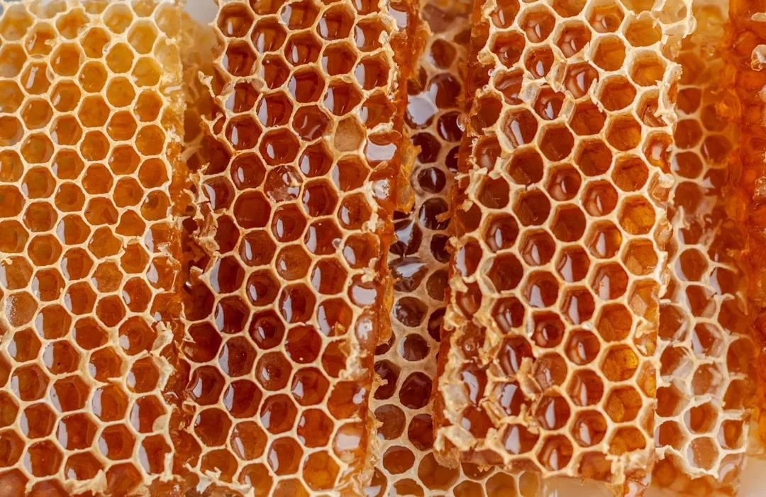 2. Honey: More Than Just a Soothing Sweetener (Image Credits: Unsplash)
