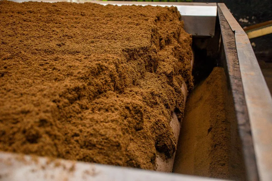 Soil Structure Quietly Degrades (Image Credits: Pexels)