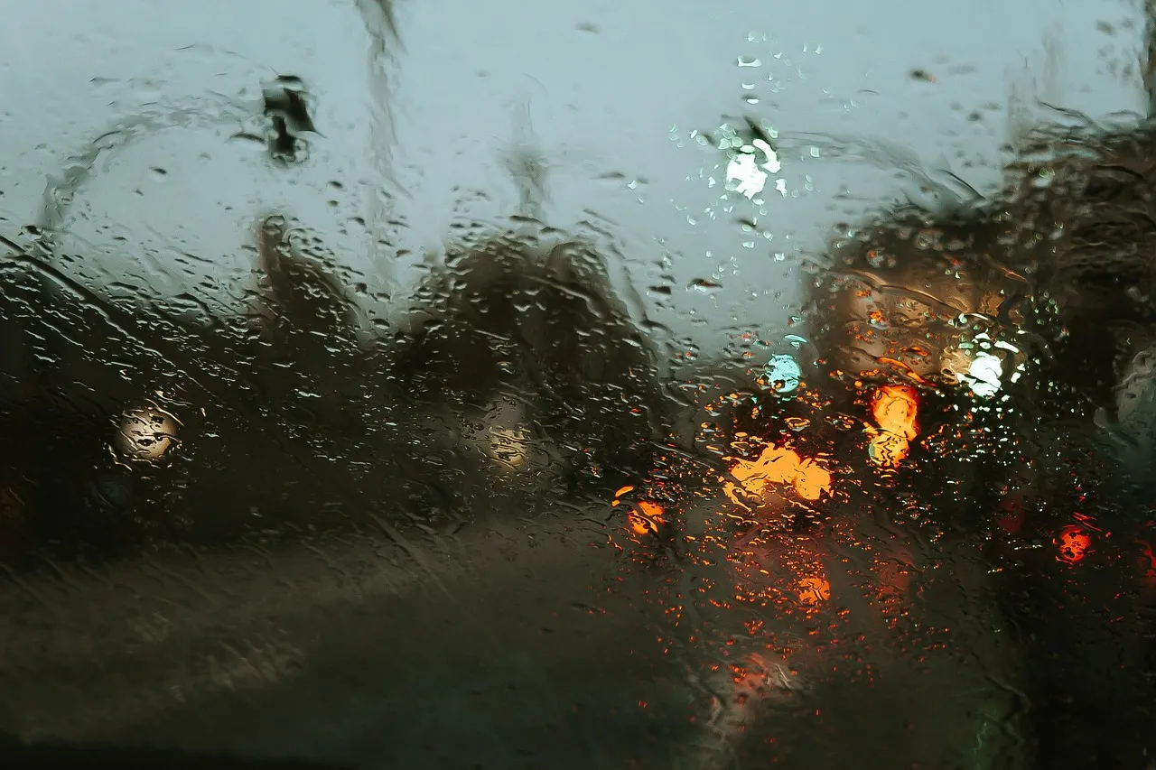 Rain on a Window Pane (Image Credits: Pixabay)