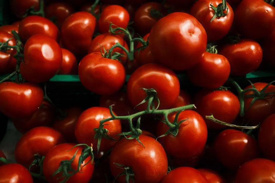 USDA Research Confirms the Scale of the Loss (Image Credits: Pexels)