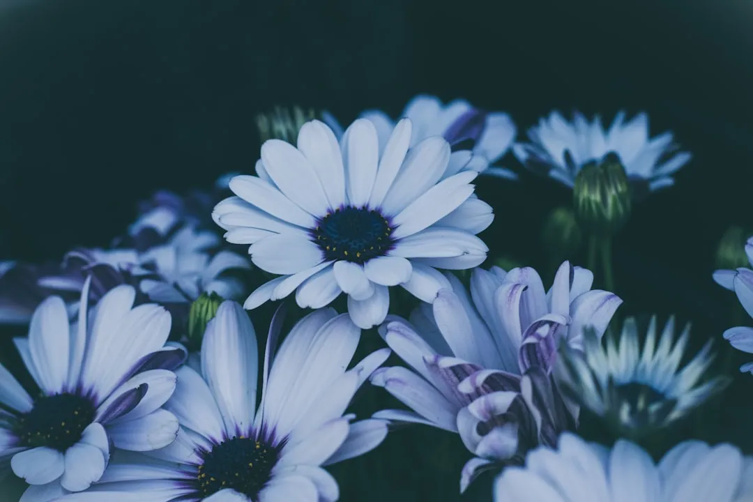 Protecting Pollen and Reproductive Structures (Image Credits: Unsplash)