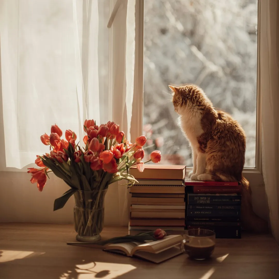 Your Attention Is the Real Target (Image Credits: Unsplash)