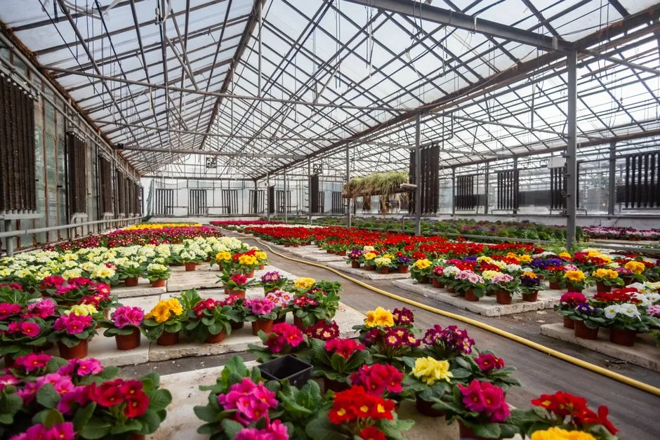 The Cutting Garden's Quiet Comeback (Image Credits: Pexels)
